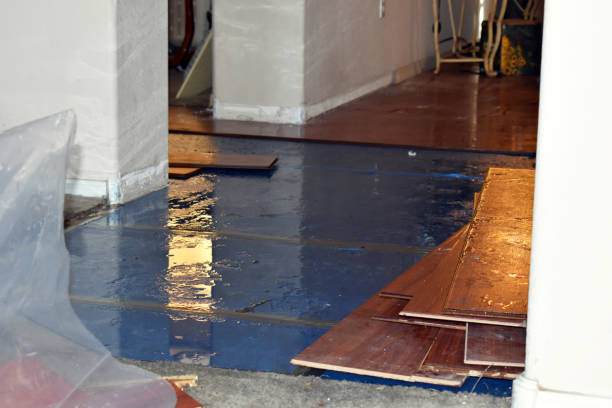 Professional Basement Flood Cleanup technician working in Brinklow, MD
